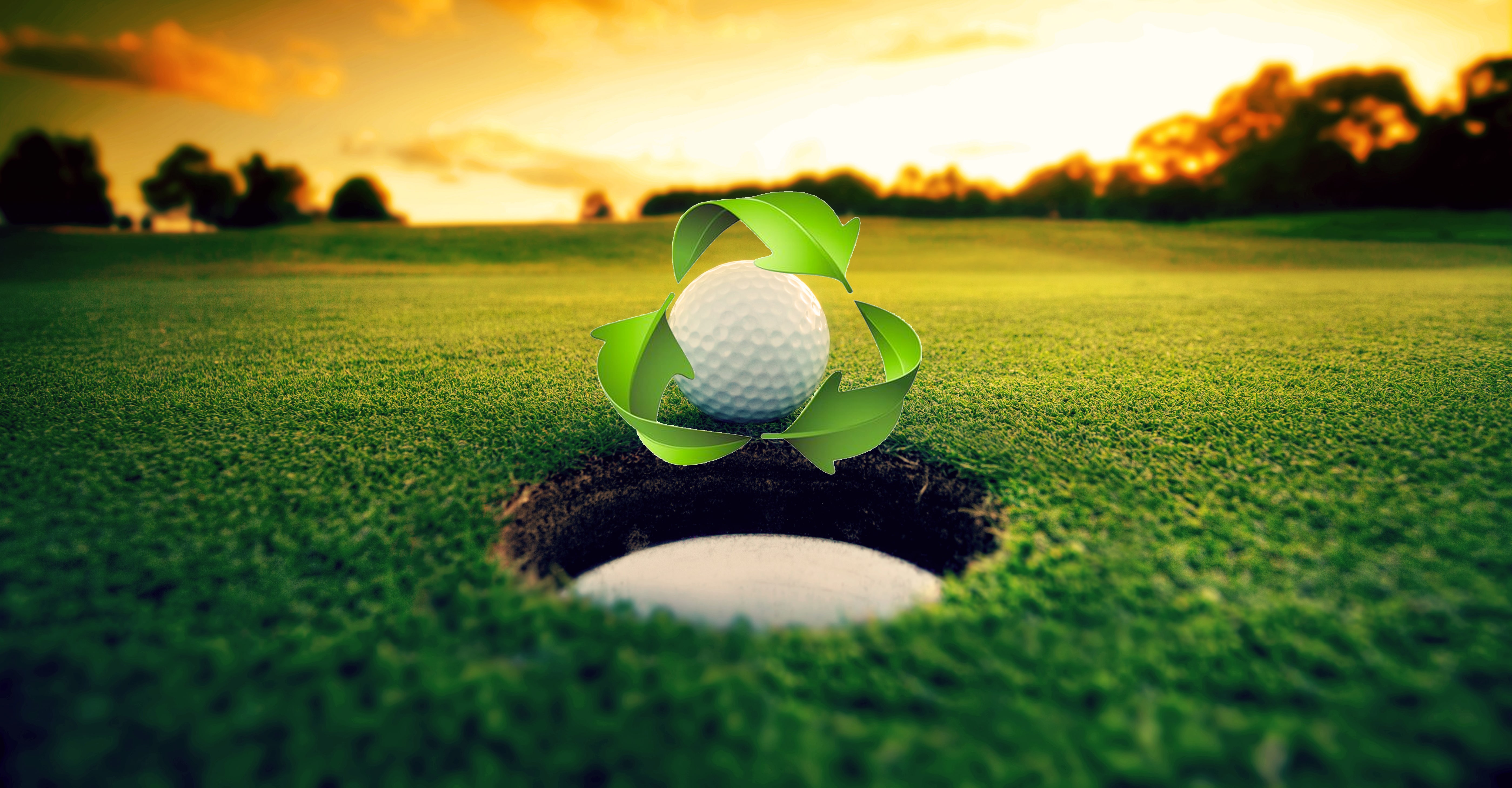 Écologie golf management software